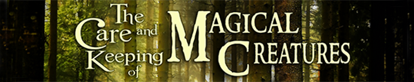 Broadway Kidz: The Care and Keeping of Magical Creatures